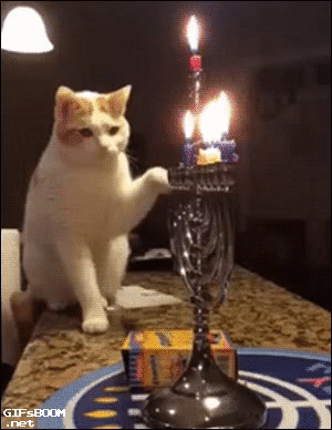 A cat hits a candle and falls off a counter