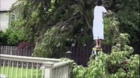A person standing on top of a ladder cuts a branch off a tree that falls and hits the ladder and the person falls out of sight